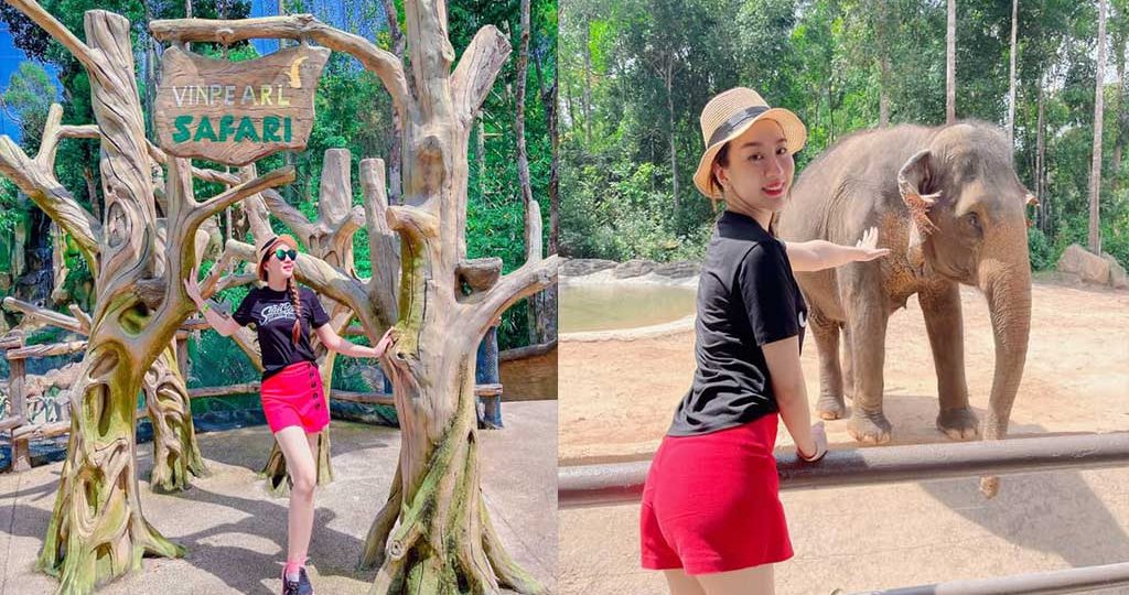 Khám Phá Vinpearl Safari Phú Quốc Cuộc Du Ngoạn Bí Mật